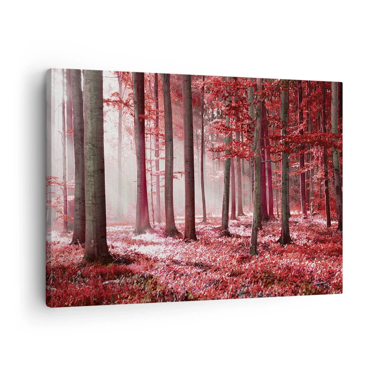 Quadro em tela - Uma floresta deslumbrante em tons de vermelho com raios de luz penetrando através das árvores - 70x50cm - O vermelho também é belo - Decoração de parede moderna para a sala de estar e quarto ARTTOR