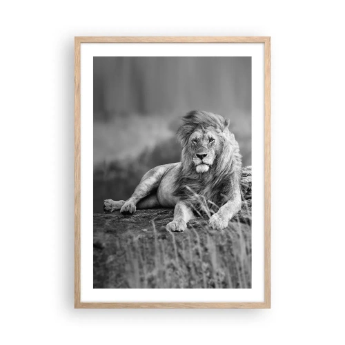 Pôster com moldura de carvalho claro - Sesta real - 50x70 cm