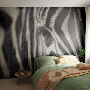 Papel de Parede Standard Eco - Retrato em listras - Animais, Costelas, África - 500x350 cm