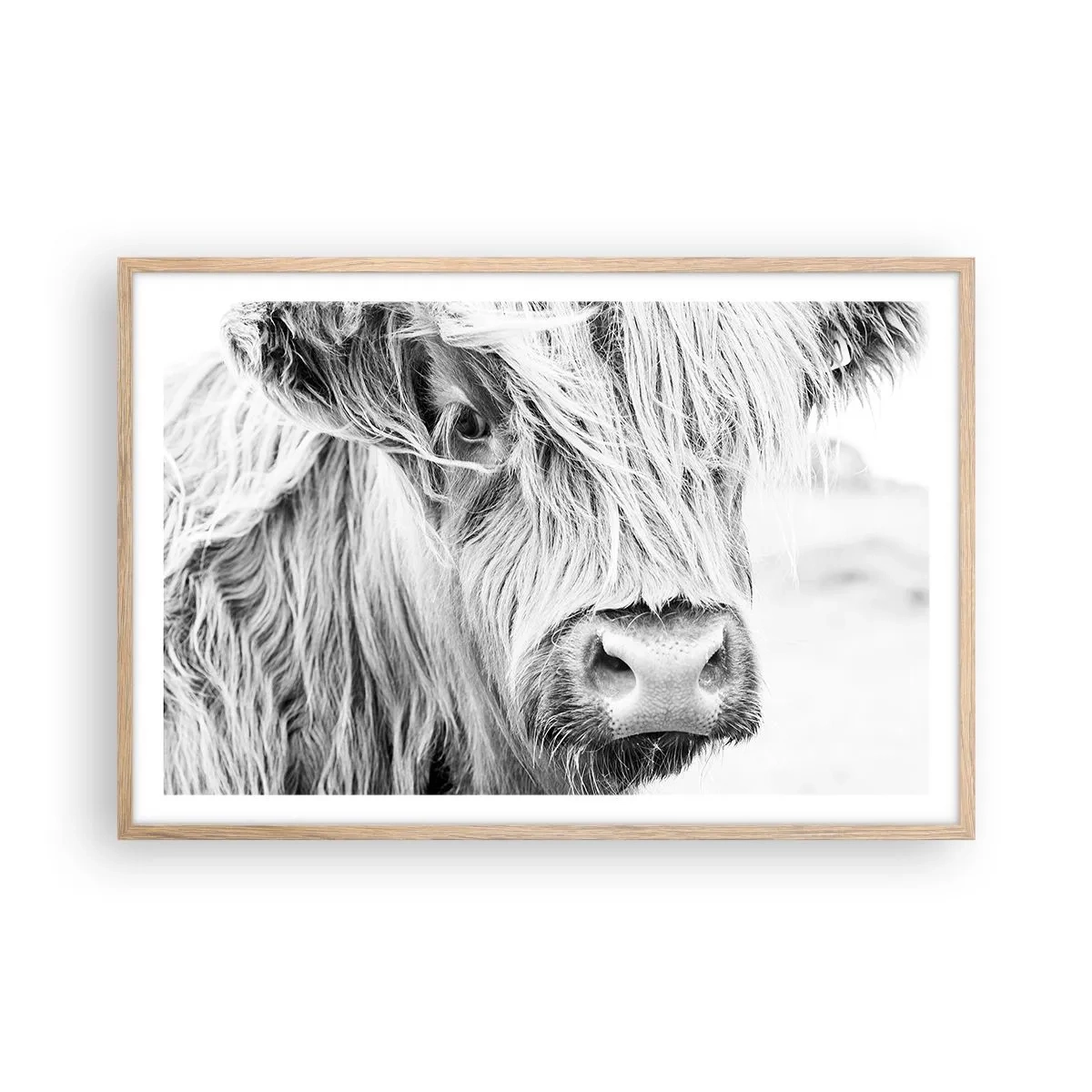 Pôster com moldura de carvalho claro - Natureza selvagem escocesa - 91x61 cm