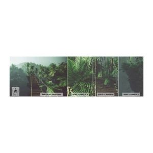 Amostra de papel de parede Premium Sand - Sobre o verde fervente - Paisagem, Selva, Coqueiro - 100x30 cm