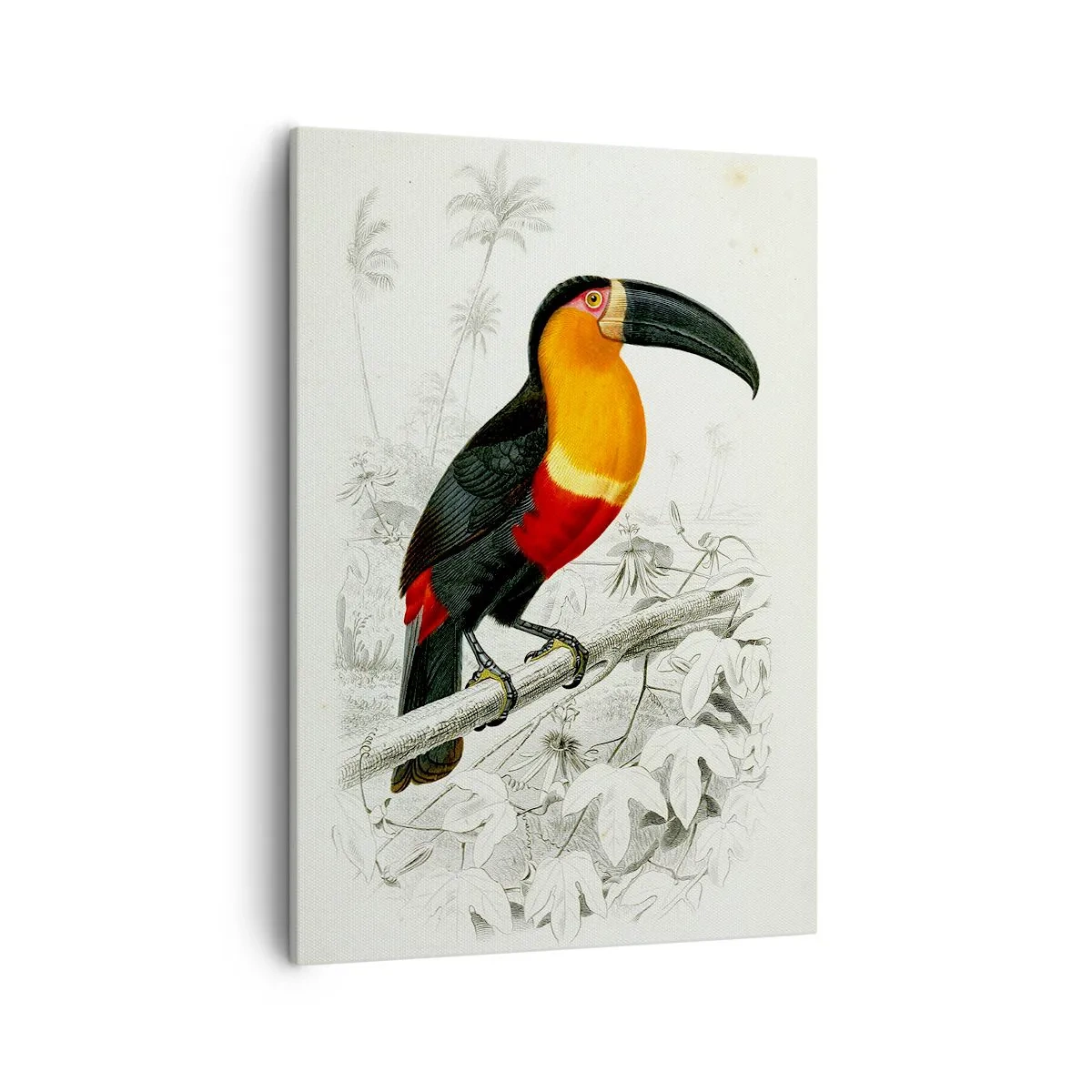 Quadro em tela - Cores dos pássaros - 50x70 cm