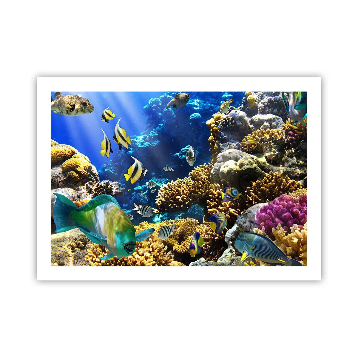 Pôster - Tráfego intenso no percurso de férias - 70x50 cm