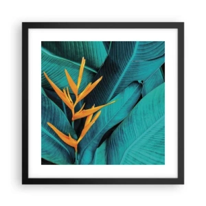 Pôster com moldura preta - Flor do Éden - 40x40 cm