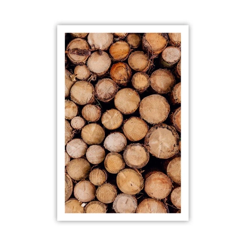 Pôster - Um novo começo - 61x91 cm