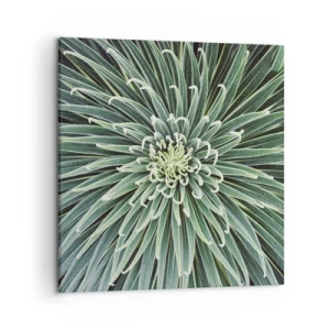 Quadro em tela - Nasce uma estrela - 50x50 cm