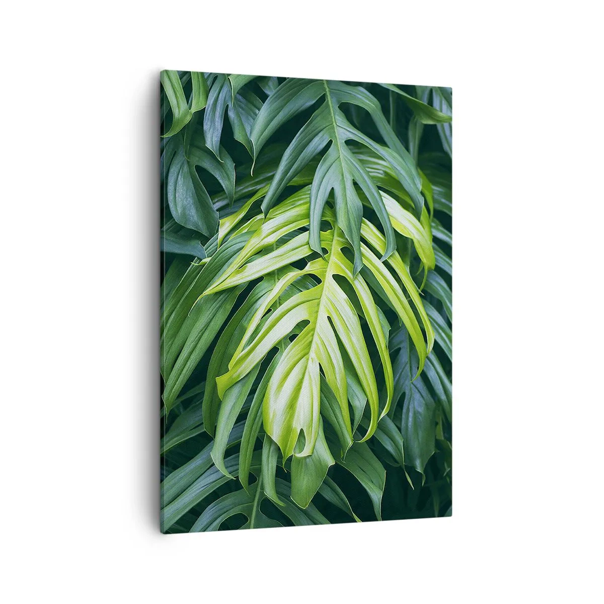 Quadro em tela - Mergulhar no frescor - 50x70 cm