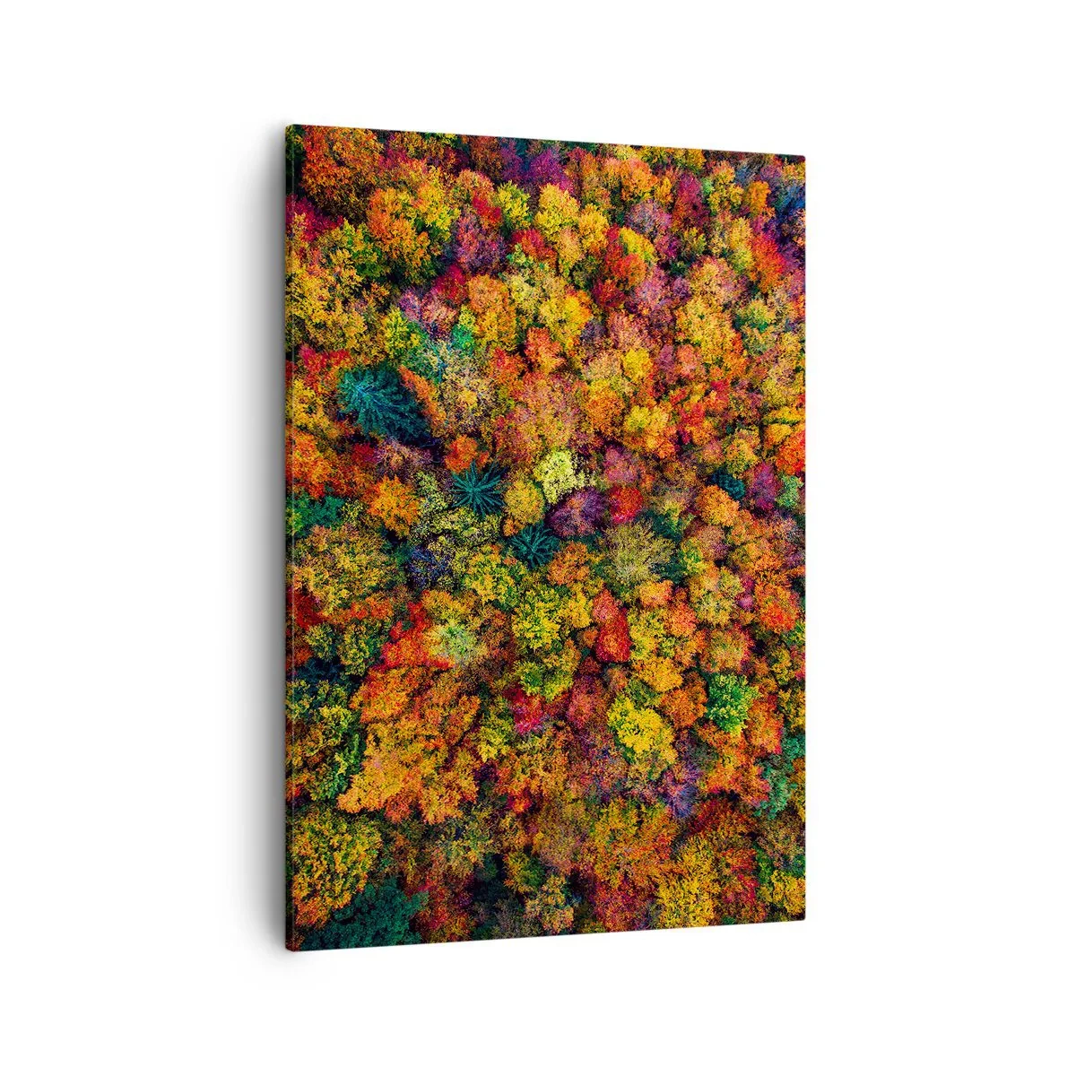 Quadro em tela - Bouquet de árvores de Outono - 50x70 cm