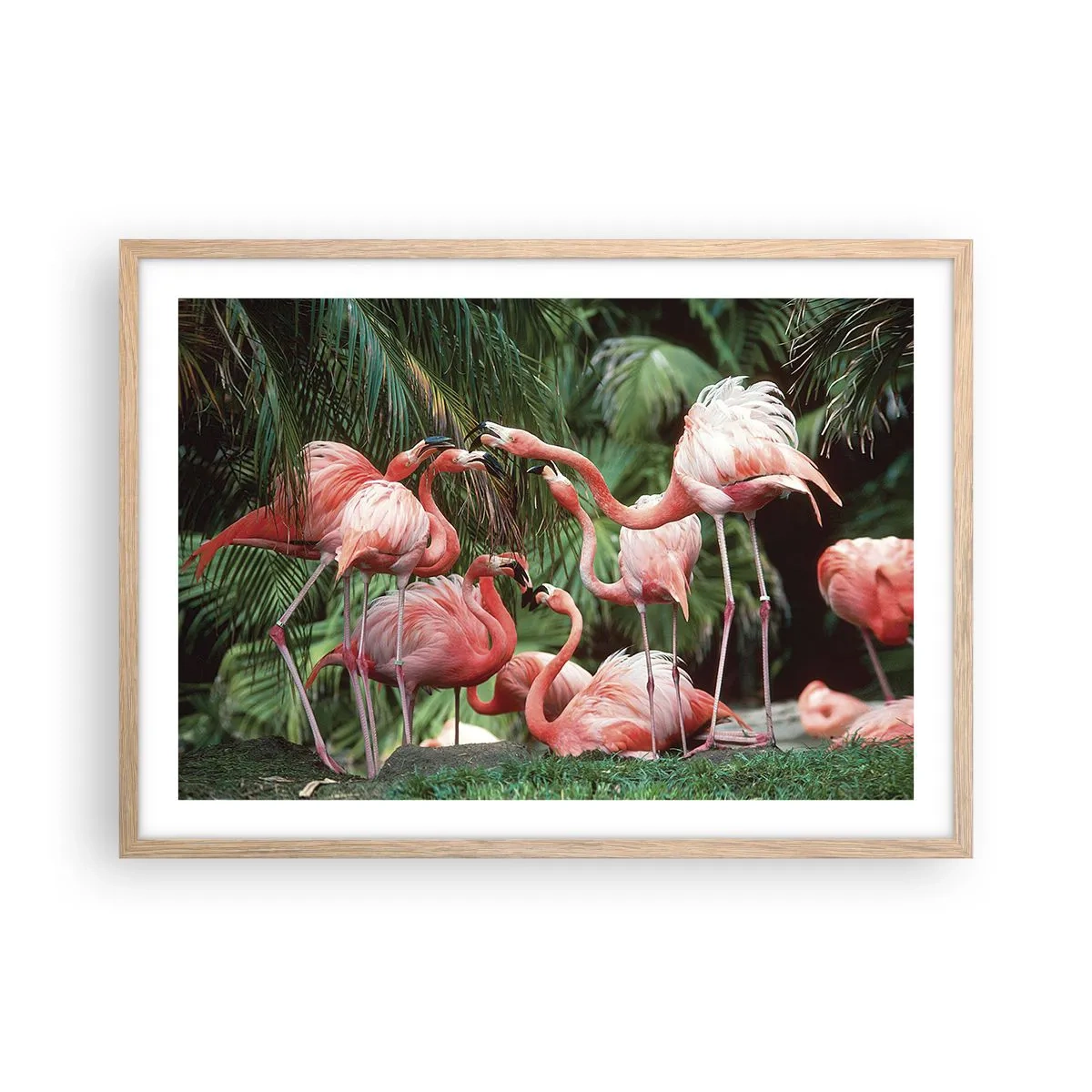 Pôster com moldura de carvalho claro - Fofocas da tarde - 70x50 cm