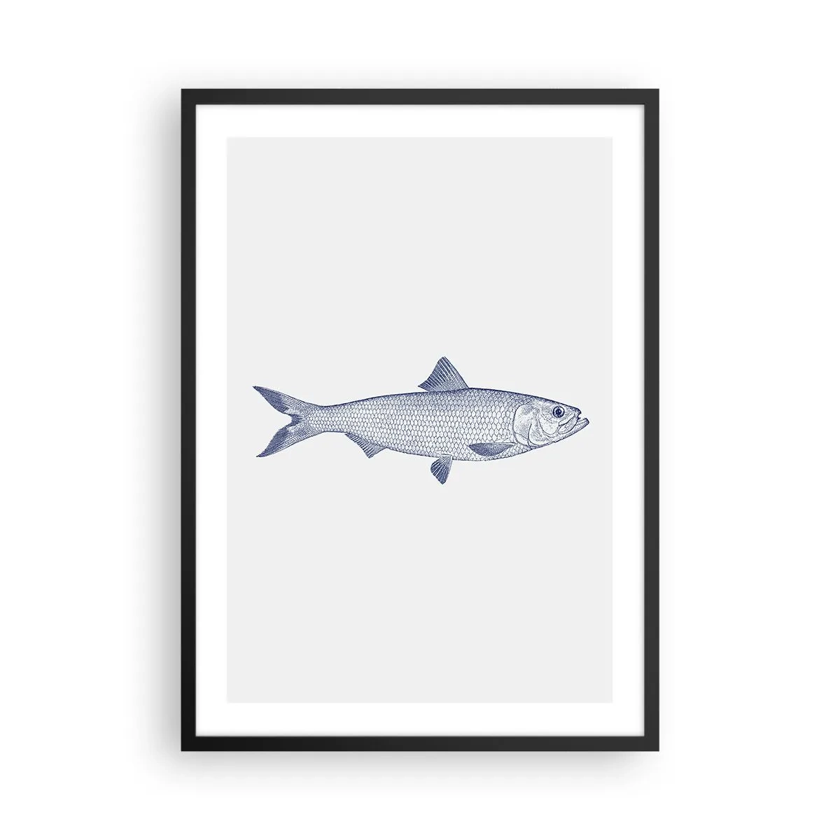 Pôster com moldura preta - Ilustração minimalista de peixe vintage - 50x70cm - Saudações dos mares do norte - Decoração de parede moderna para a sala de estar e quarto ARTTOR