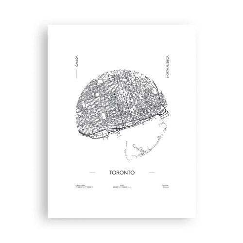Pôster - Anatomia de Toronto - 30x40 cm