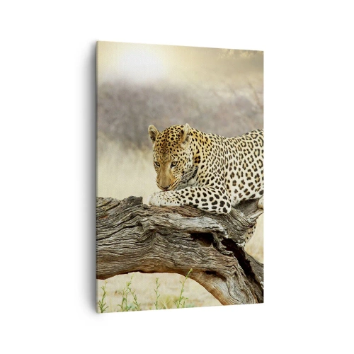 Quadro em tela - Eu sigo o meu próprio caminho - 70x100 cm