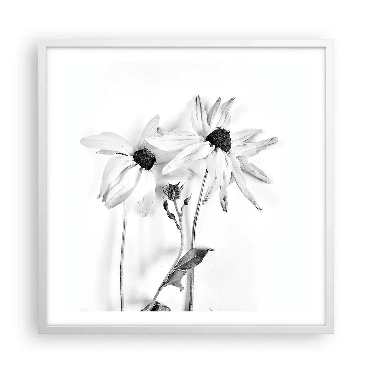 Pôster em moldura branca - Ninguém quer estar sozinho - 60x60 cm