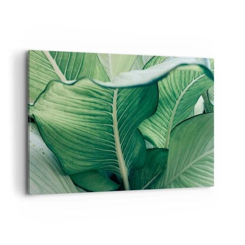 Quadro em tela - Vida intensamente verde - 100x70 cm