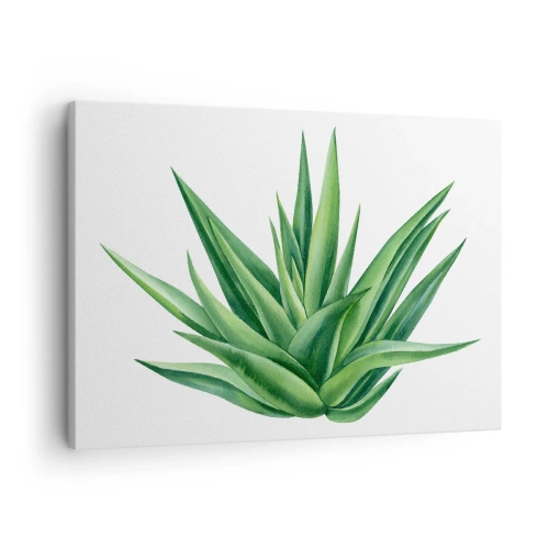 Quadro em tela - Uma planta verde suculenta em um fundo branco - 70x50cm - Verde – força – vida - Decoração de parede moderna para a sala de estar e quarto ARTTOR