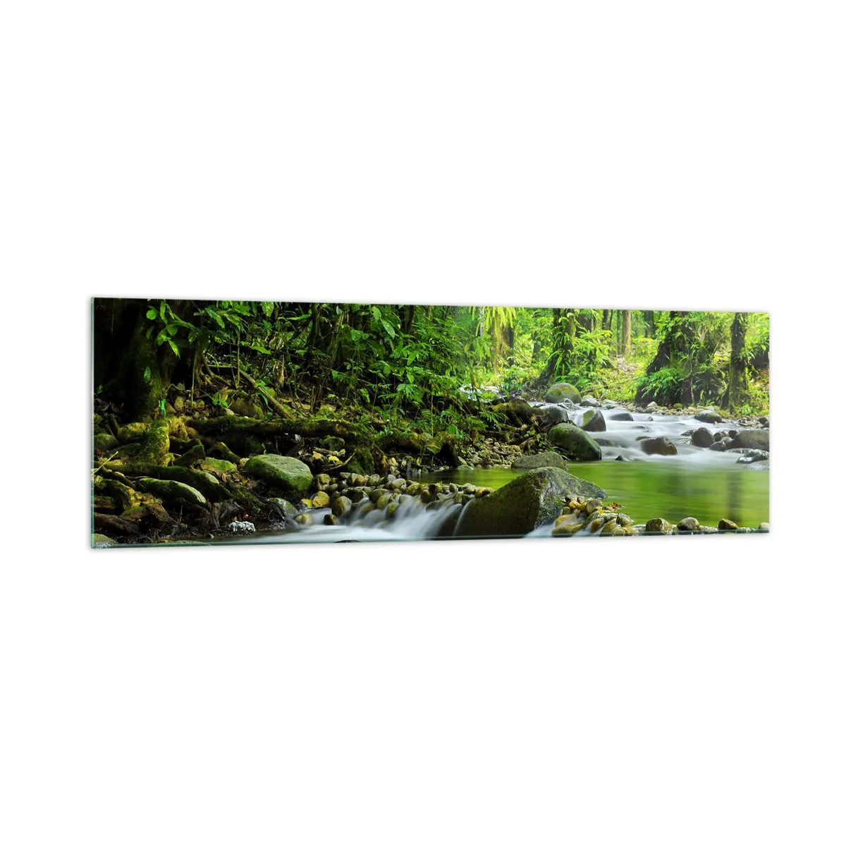 Quadro em vidro - Navegar no mar de vegetação - 160x50 cm