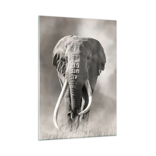 Quadro em vidro - Patriarca africano - 50x70 cm
