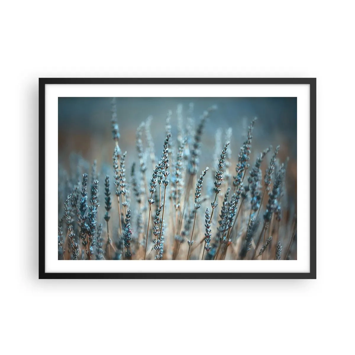 Pôster com moldura preta - Prado perfumado - 70x50 cm