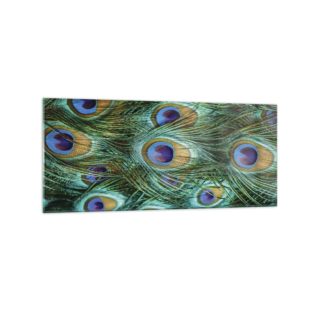Quadro em vidro - Um olhar de pavão - 120x50 cm