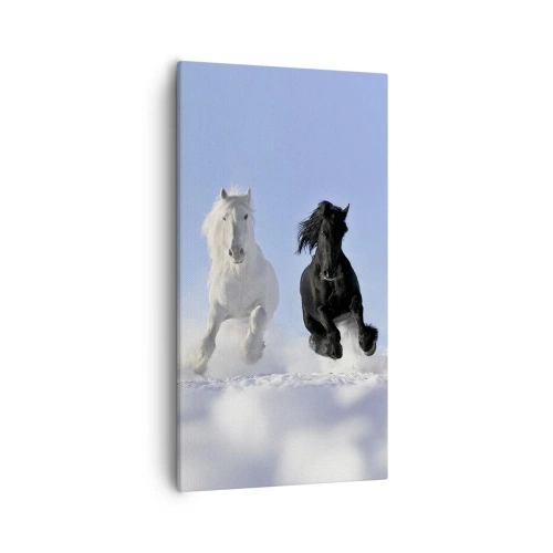 Quadro em tela - Galope preto e branco - 55x100 cm
