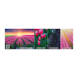 Amostra de papel de parede Premium Sand - Quinta da Beleza - Flores, Tulipas, Pôr do sol - 100x30 cm