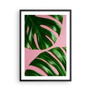 Pôster com moldura preta - Folhas de Monstera em um fundo rosa em um estilo minimalista - 50x70cm - Encontro verde - Decoração de parede moderna para a sala de estar e quarto ARTTOR