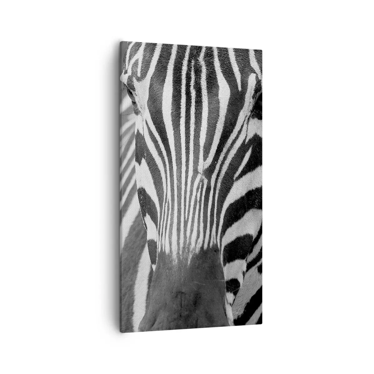 Quadro em tela - O mundo é preto e branco - 55x100 cm