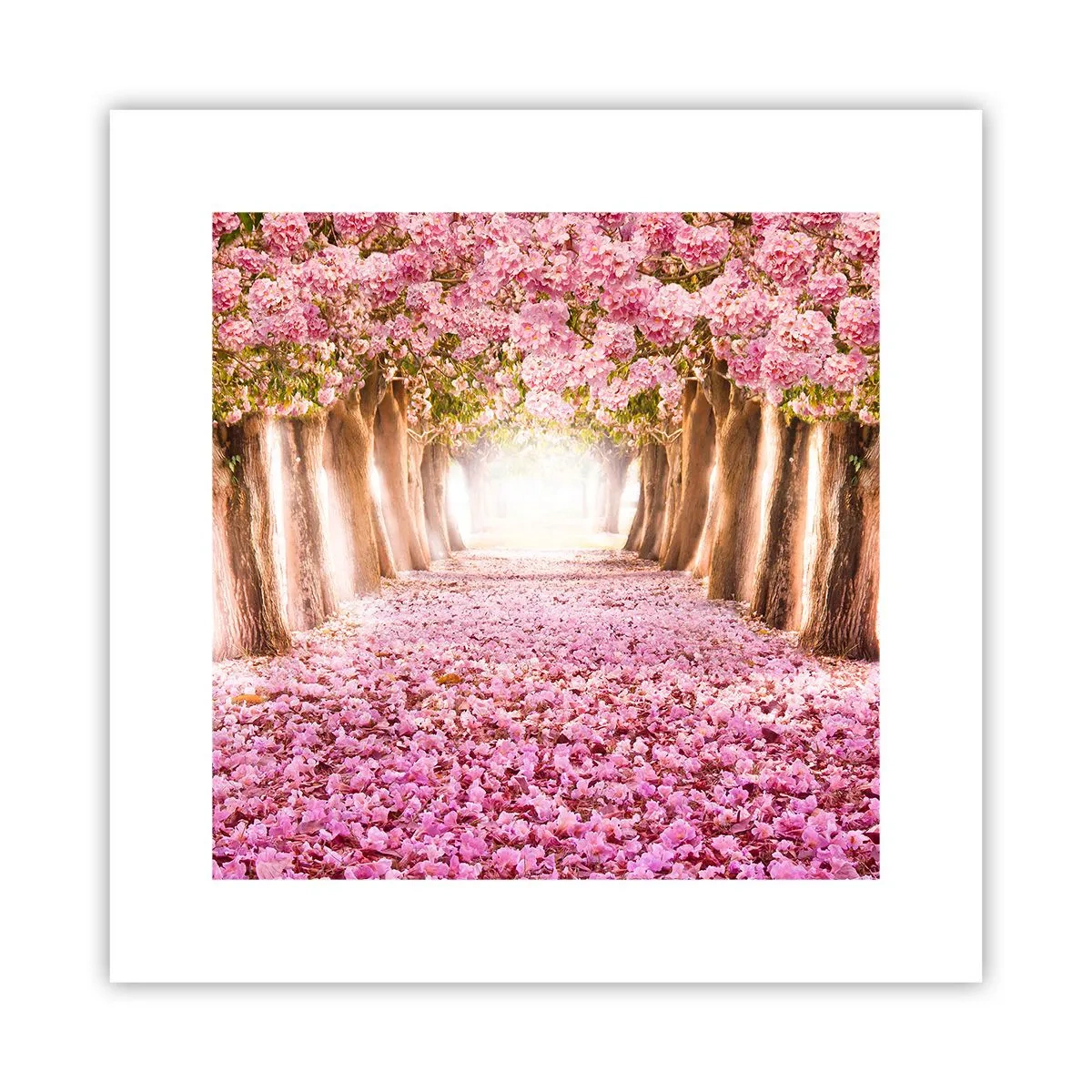 Pôster - O Caminho para o Paraíso - 30x30 cm