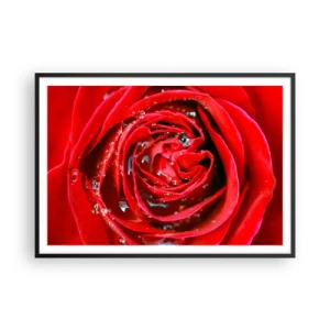 Pôster com moldura preta - Em gotas de orvalho - 100x70 cm