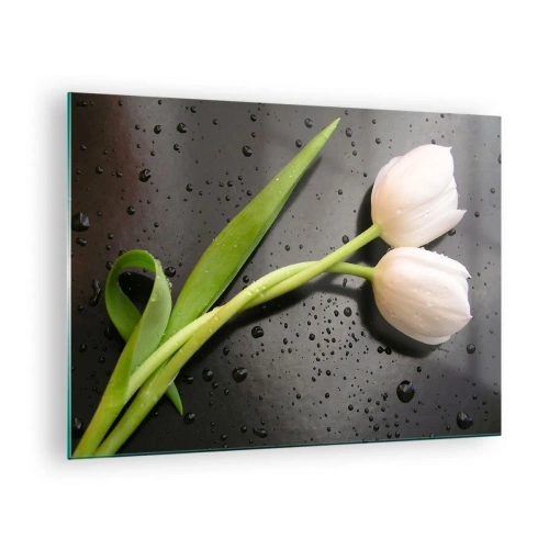 Quadro em vidro - Tulipas brancas em um fundo com gotas de água - 70x50cm - Trançado de primavera - Decoração de parede moderna para a sala de estar e quarto ARTTOR