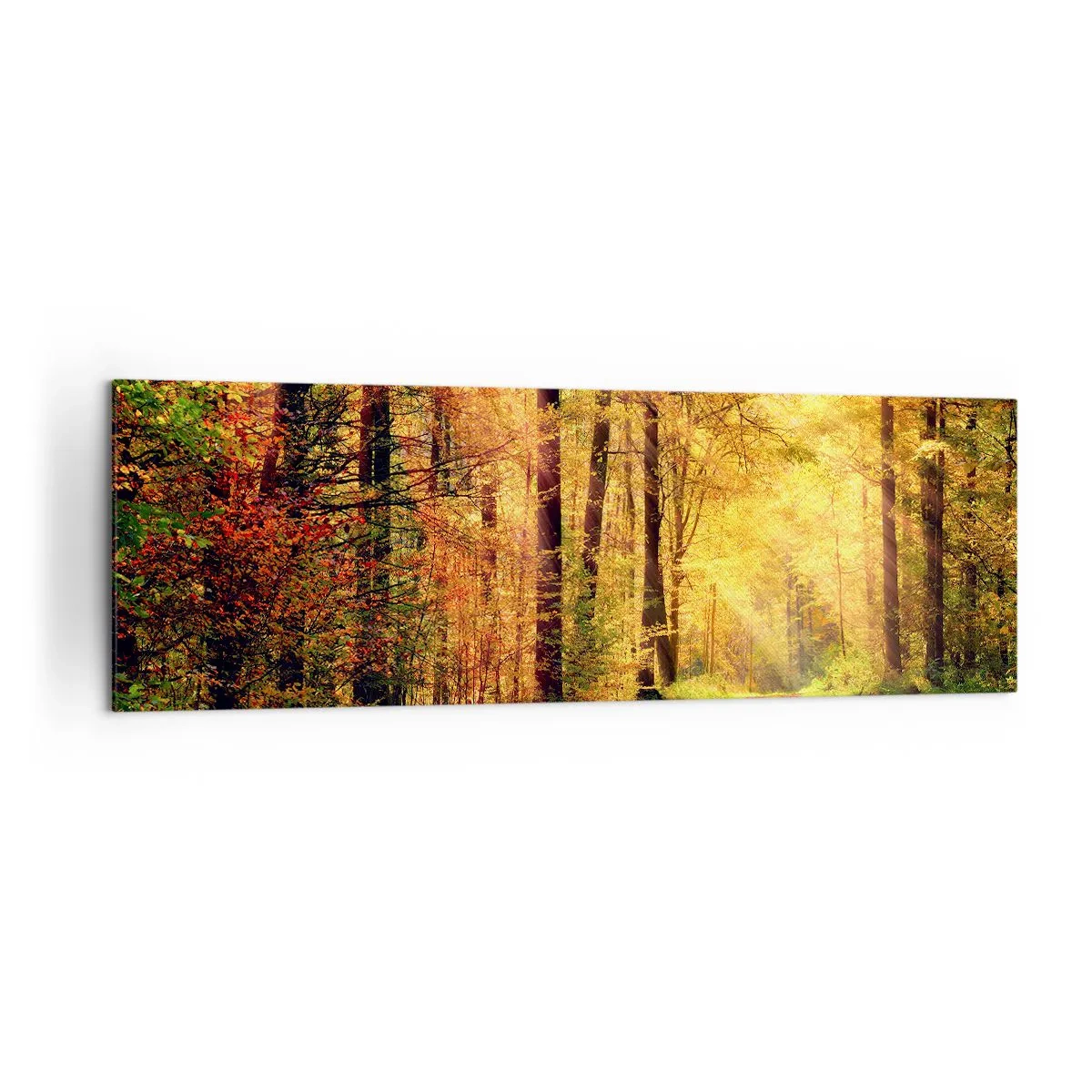 Quadro em tela - Silêncio dourado da floresta - 160x50 cm