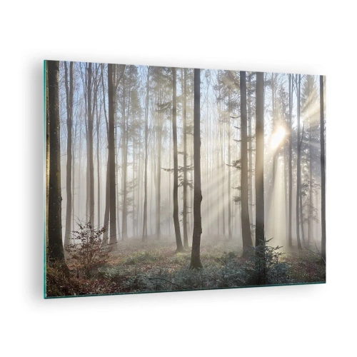 Quadro em vidro - Raios de sol da manhã penetrando na floresta enevoada - 70x50cm - O nevoeiro também acordou - Decoração de parede moderna para a sala de estar e quarto ARTTOR