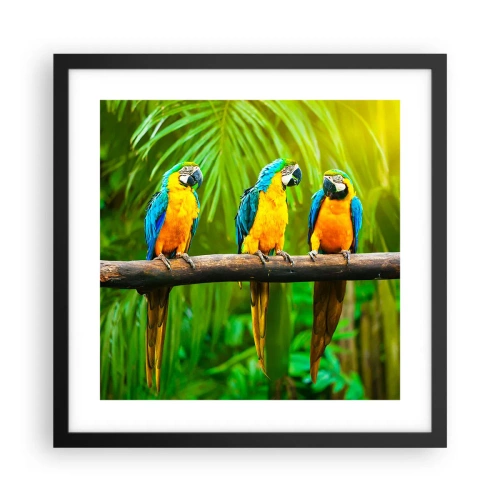 Pôster com moldura preta - E ouviste dizer que ela...? - 40x40 cm