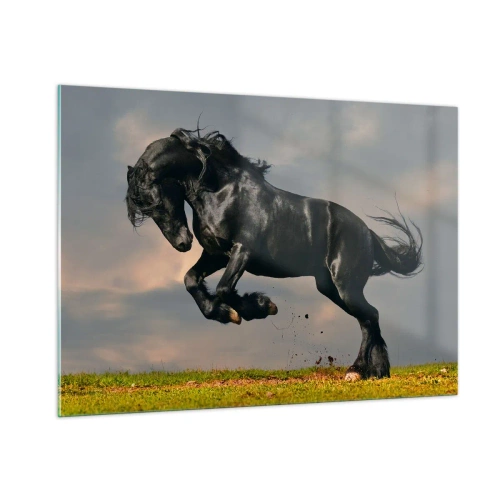 Quadro em vidro - Bonito e lento - 100x70 cm
