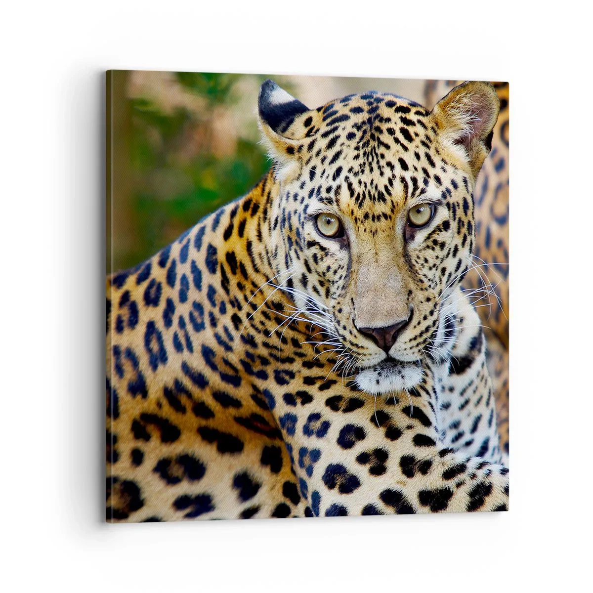 Quadro em tela - Selvagem e tranquilo - 70x70 cm