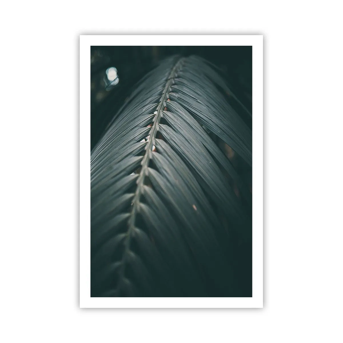 Pôster - A precisão da natureza - 61x91 cm