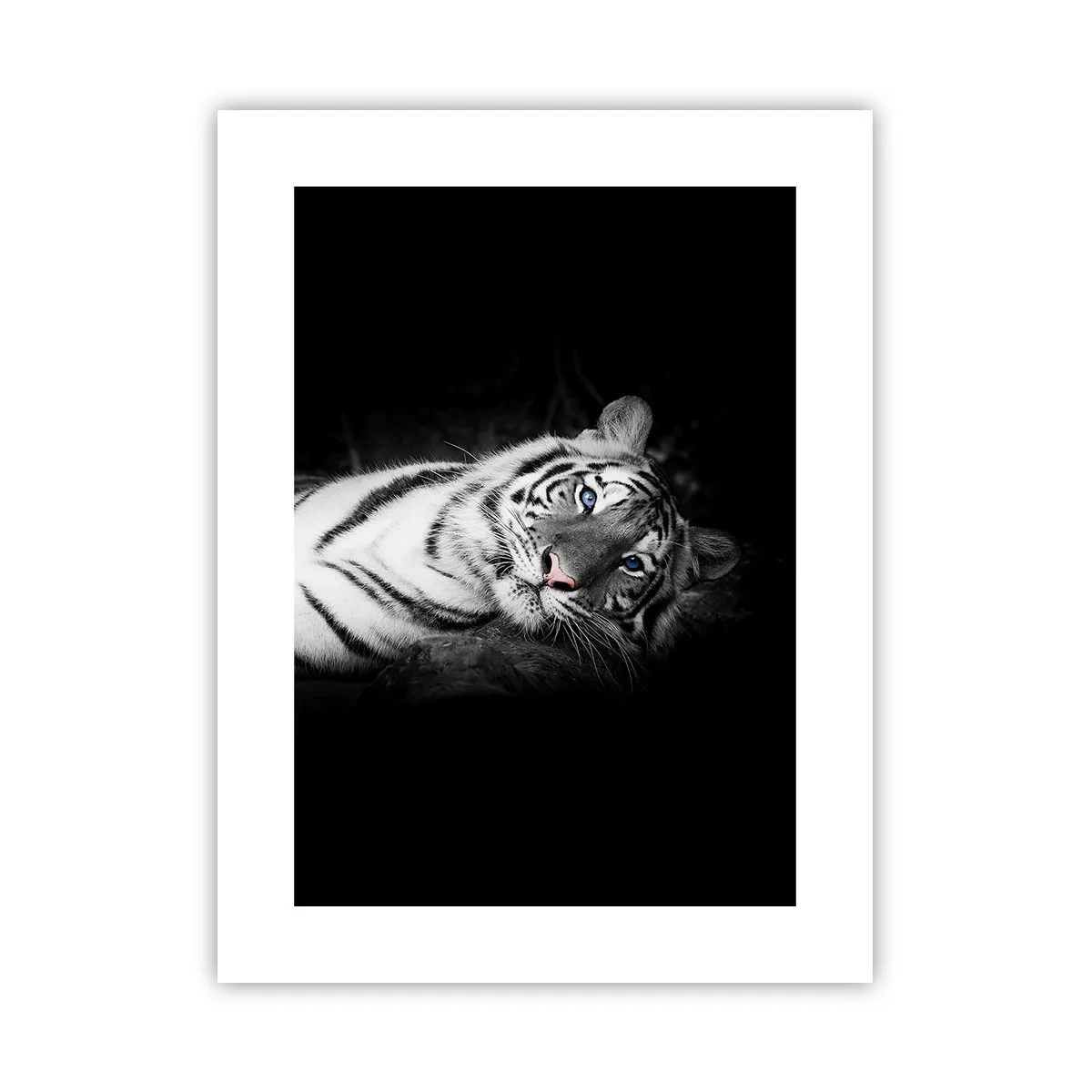 Pôster - Selvagem e tranquilo - 30x40 cm