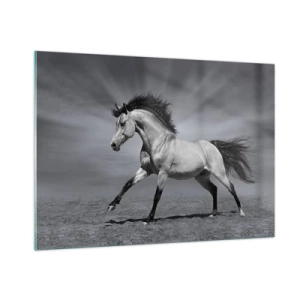 Quadro em vidro - Nascido para encantar - 100x70 cm