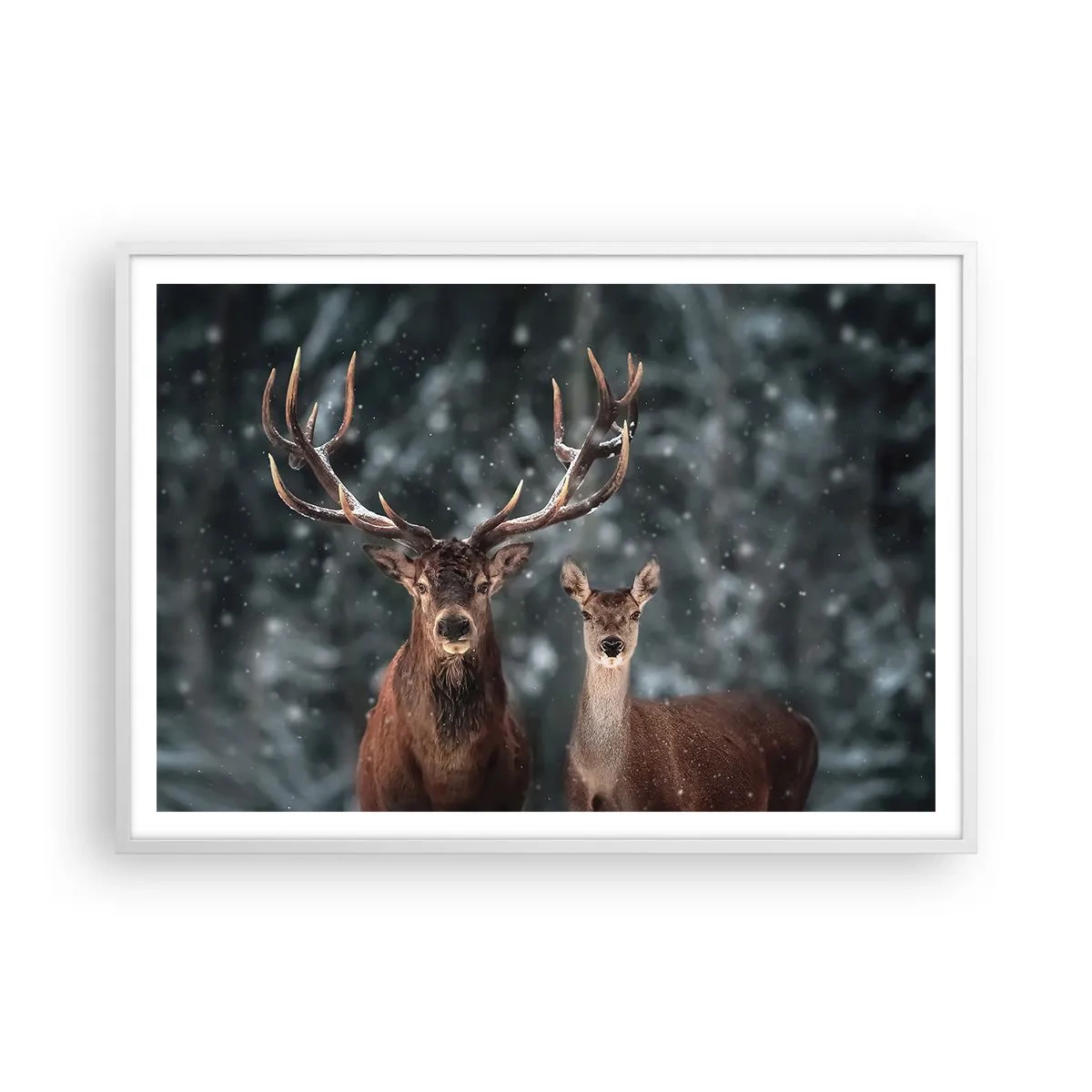 Pôster em moldura branca - O senhor da floresta com sua esposa - 100x70 cm