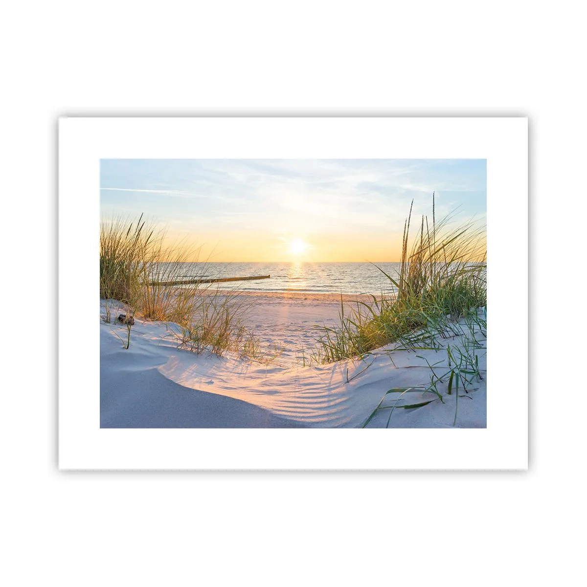 Pôster - O som do mar, o canto dos pássaros, a praia selvagem entre a relva... - 40x30 cm