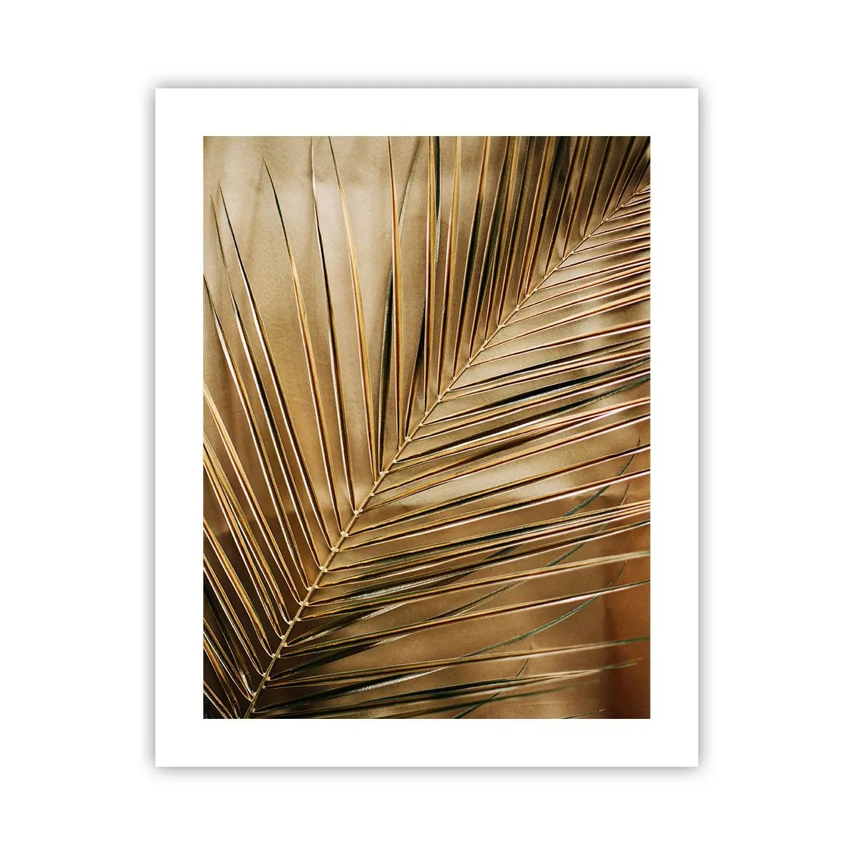 Pôster - Colunata natural - 40x50 cm