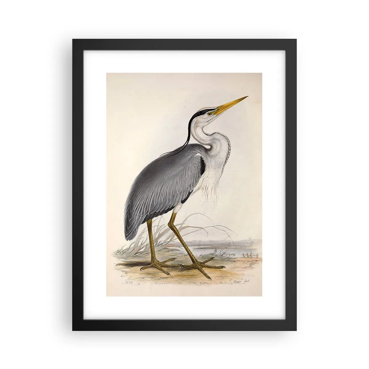 Pôster com moldura preta - Graça de garça - 30x40 cm