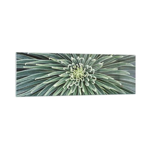 Quadro em vidro - Nasce uma estrela - 160x50 cm