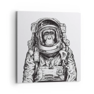 Quadro em tela - Evolução alternativa - 70x70 cm