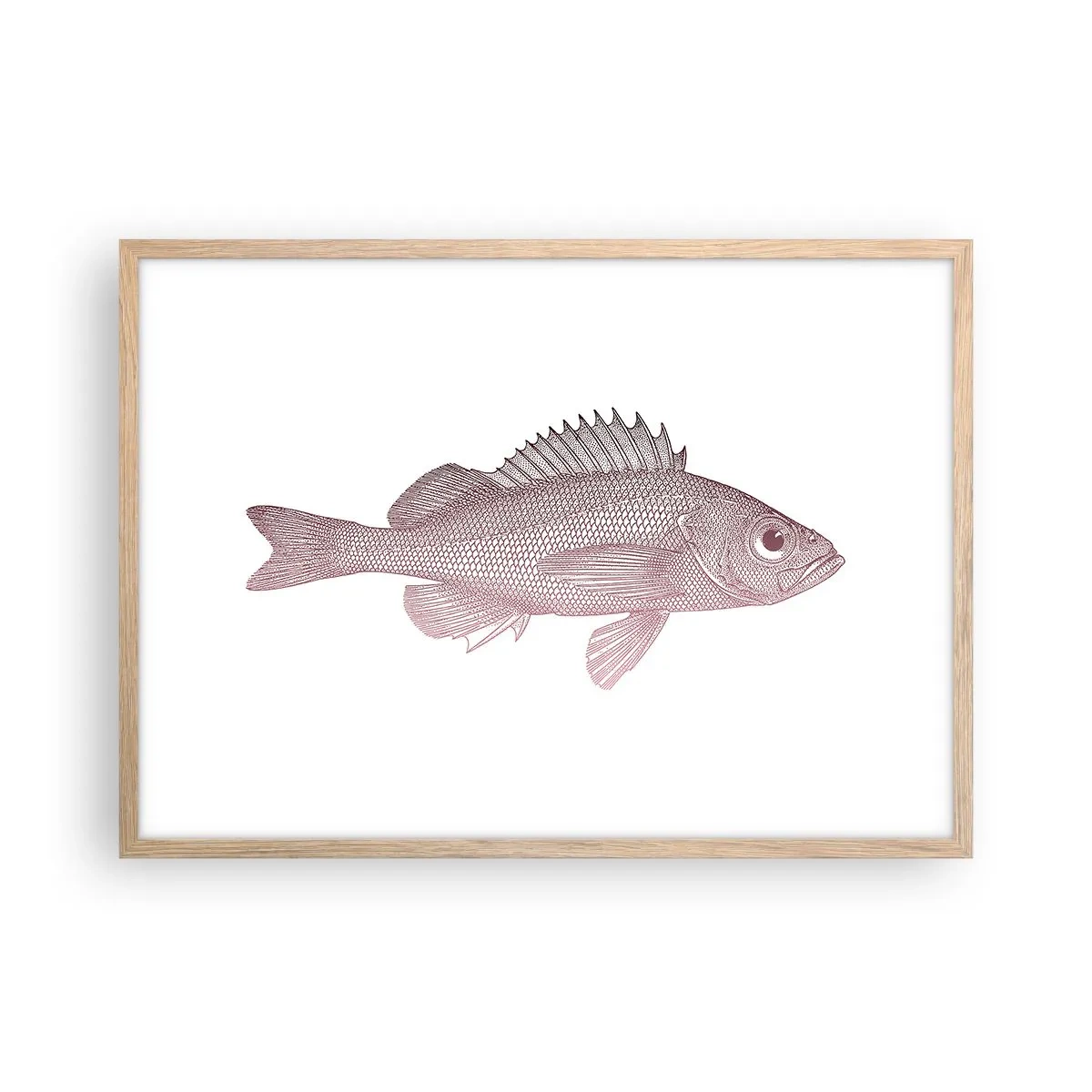 Pôster com moldura de carvalho claro - Peixe de olhos grandes - 70x50 cm