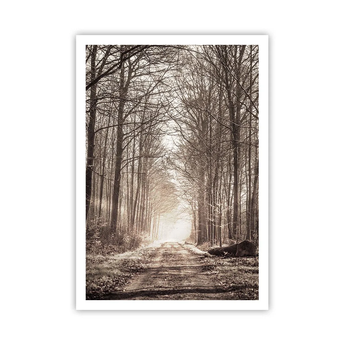 Pôster - Catedral na Floresta - 70x100 cm