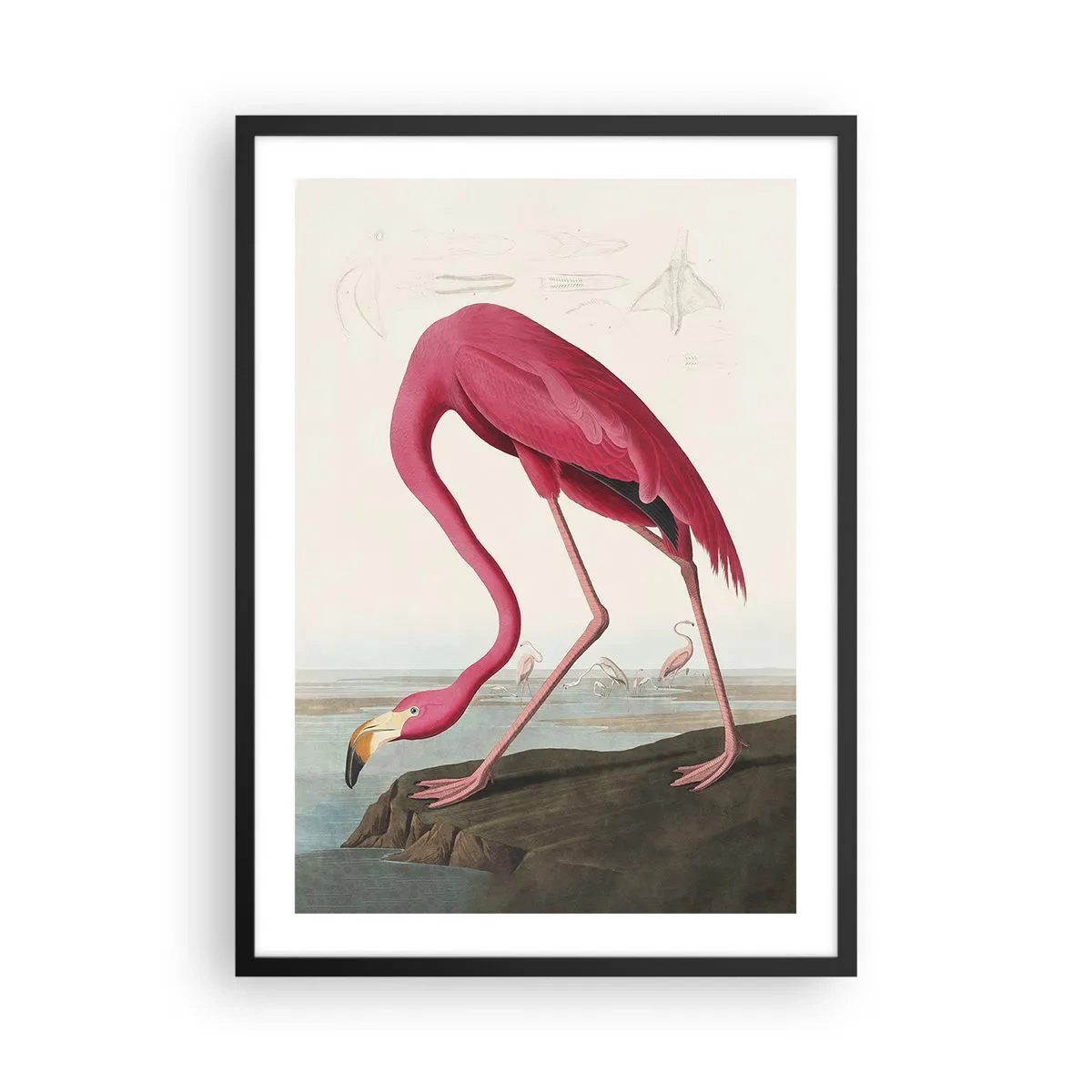 Pôster com moldura preta - Um flamingo rosa em uma paisagem natural - 50x70cm - Uma criatura surpreendente - Decoração de parede moderna para a sala de estar e quarto ARTTOR