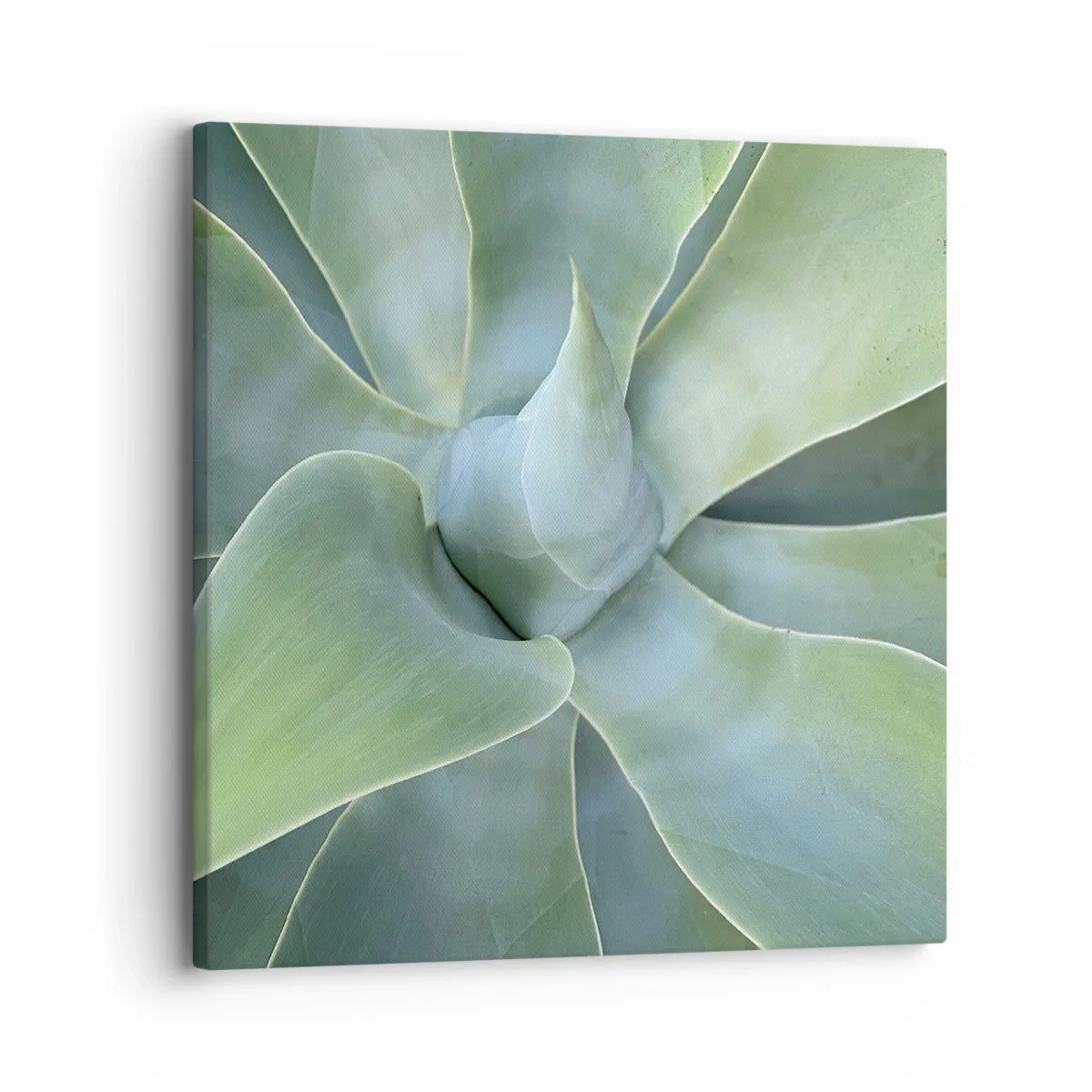 Quadro em tela - O nascimento da vegetação - 30x30 cm