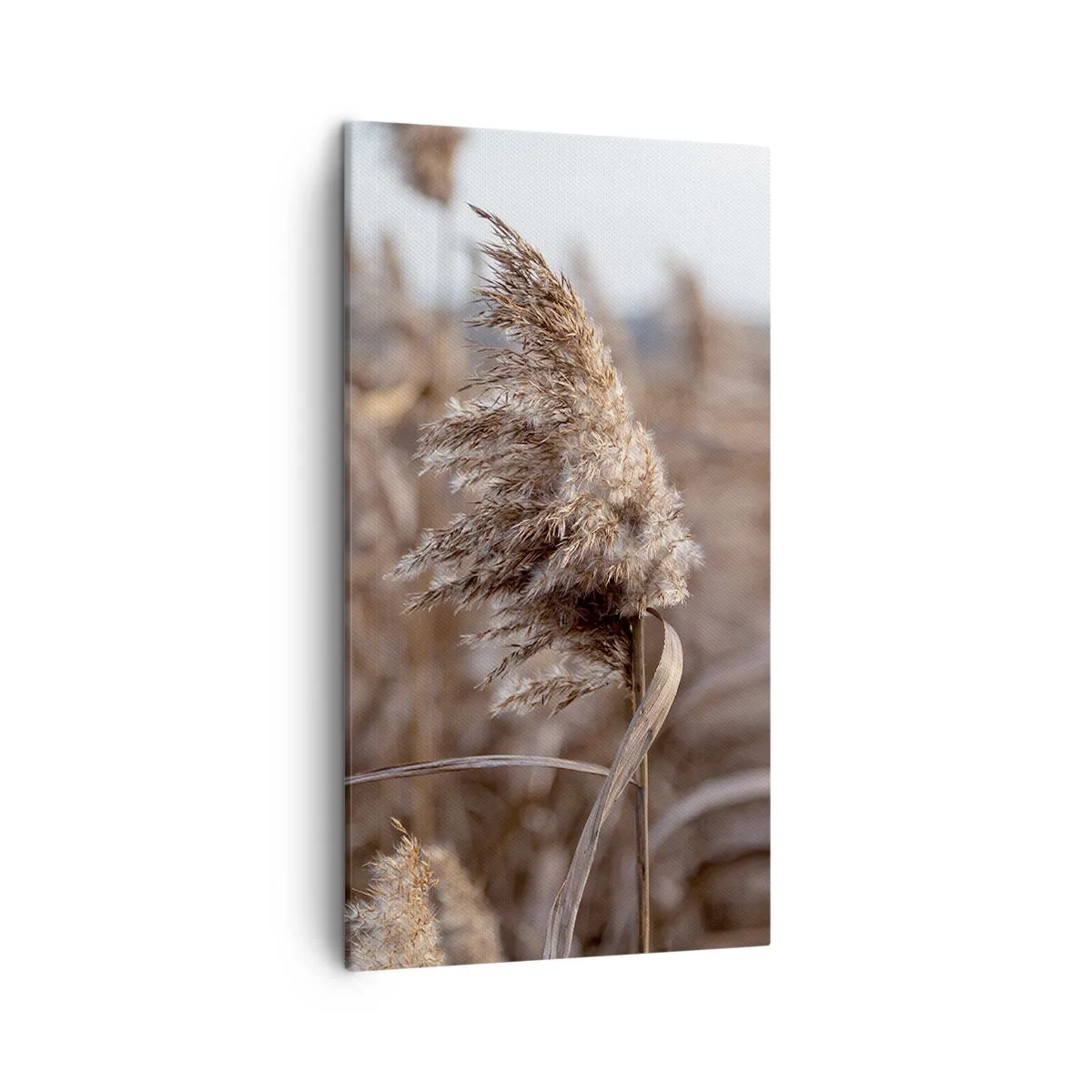 Quadro em tela - É hora de voar com o vento - 45x80 cm