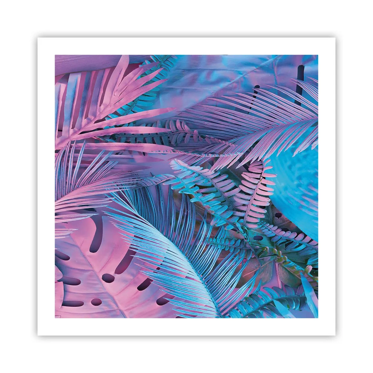 Pôster - Trópicos em rosa e azul - 60x60 cm
